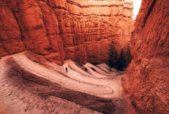 The Bryce Amphitheater at Bryce Canyon National Park.