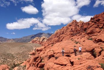 Calico Hills trail.