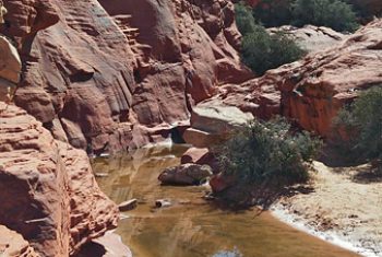 Calico Tanks Trail.