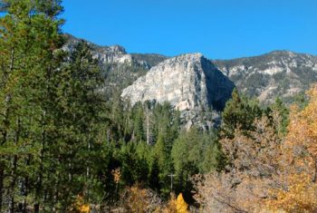 Cathedral Rock.