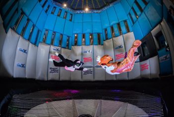 If a cat and a bear can skydive so can you at  Vegas Indoor Skydiving!