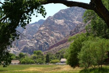 Spring Mountain Ranch State Park located only 40 mins from Las Vegasa.