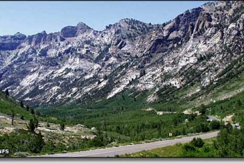 Humbolt-Toiyable National Forest