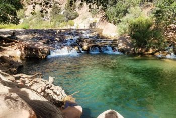 Zion's Virgin River at Zion National Park.