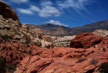 red rock tours las vegas